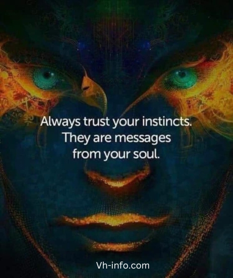 Always Trust your Gut Instinct Quotes 