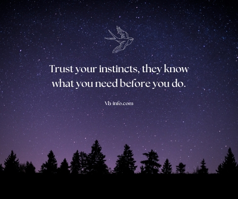 Quotes about Trusting your Instincts 