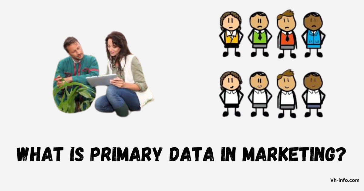 What is Primary Data in Marketing?