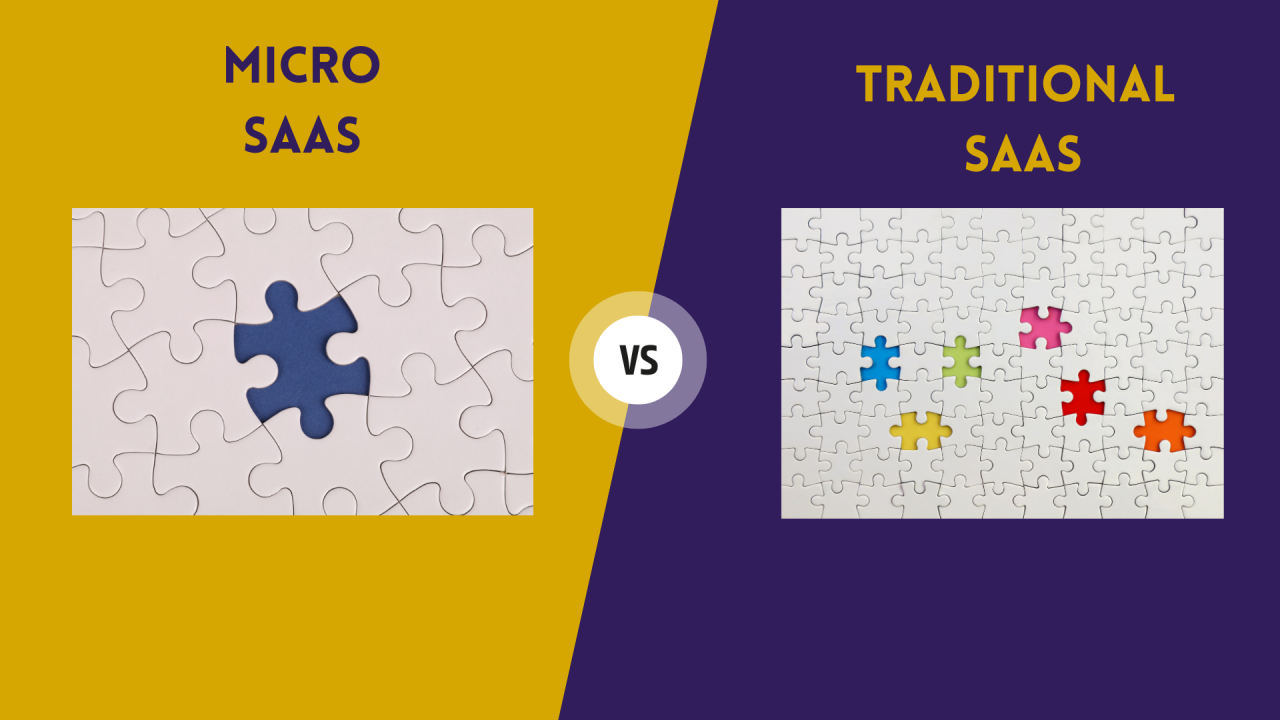 Difference Between SaaS and Micro-SaaS