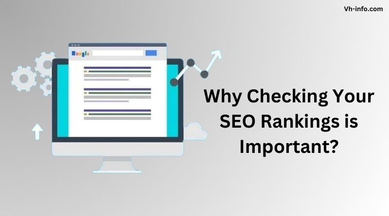 Why Checking Your SEO Rankings is Important?