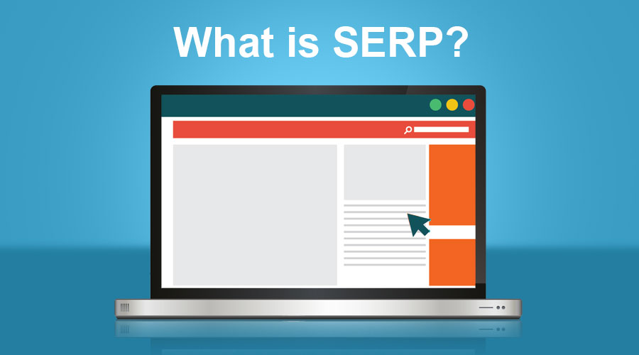 What is the SERP?​