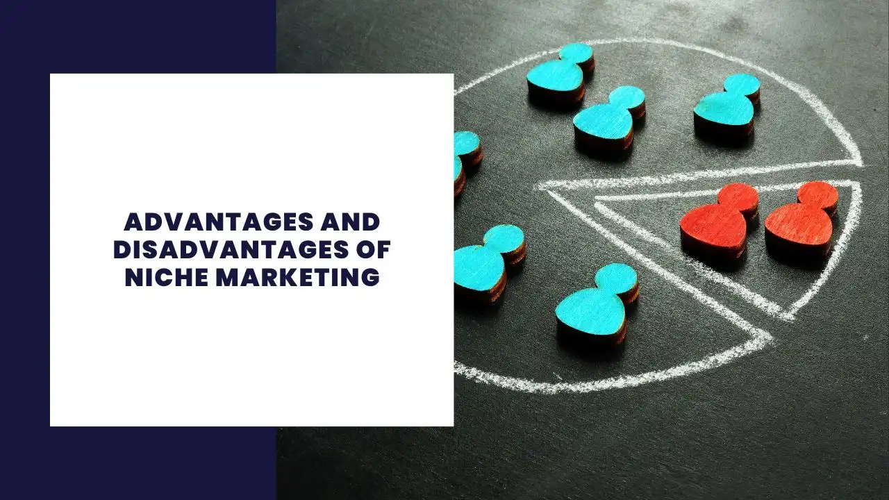 Niche Marketing Advantages and Disadvantages