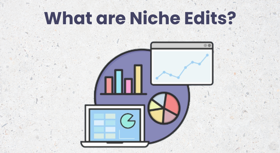 What Are Niche Edits?