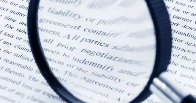 What To Include In Your SEO Contract?