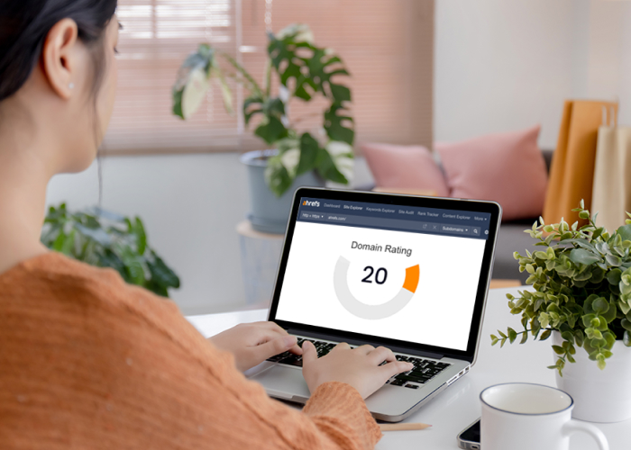 How Does Domain Rating Work?