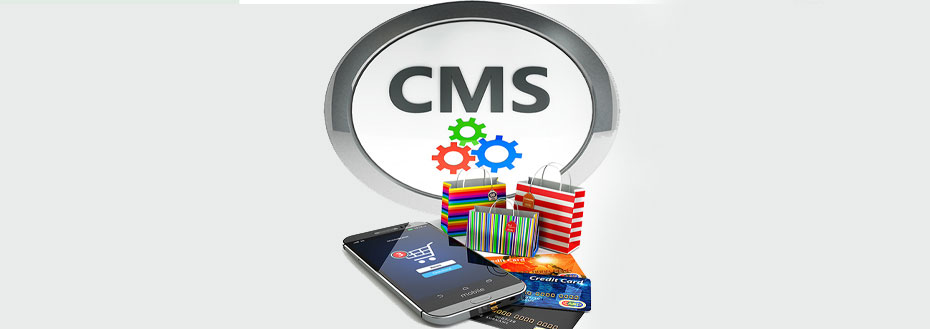 How To Use An eCommerce CMS?