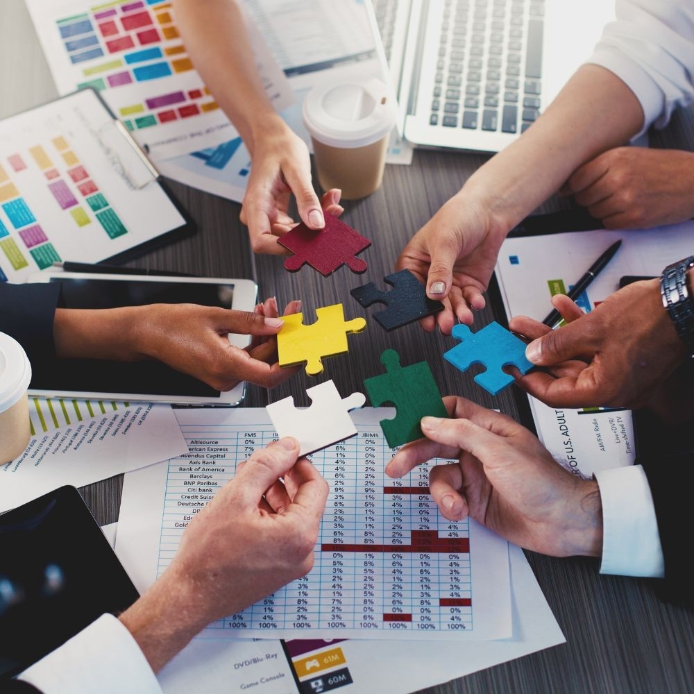Integration Partnership Programs