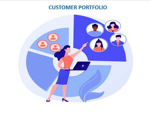 What Is A Customer Portfolio?