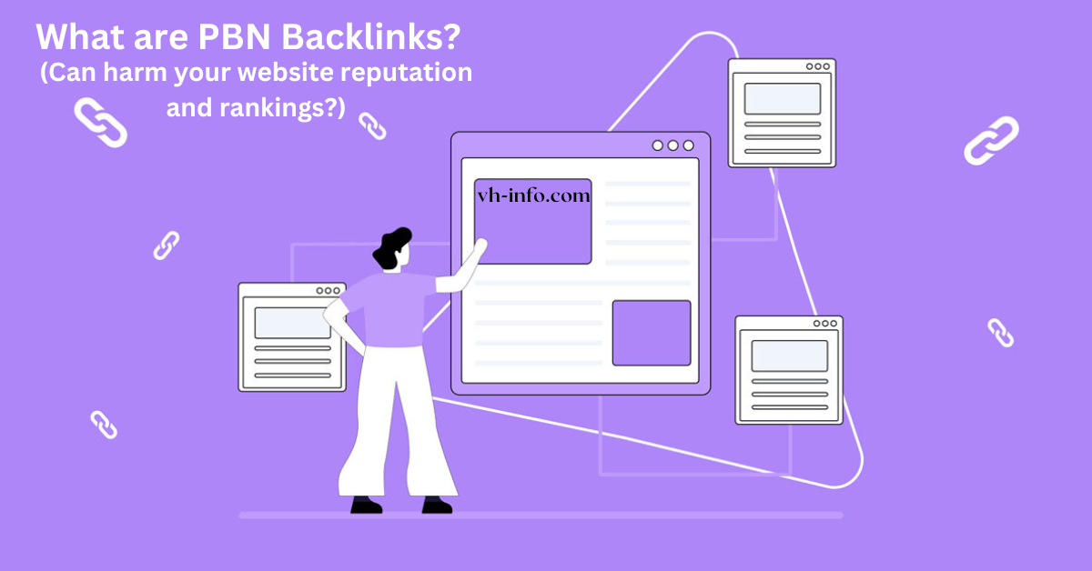 What Are PBN Backlinks? (Can harm your website reputation and rankings?)