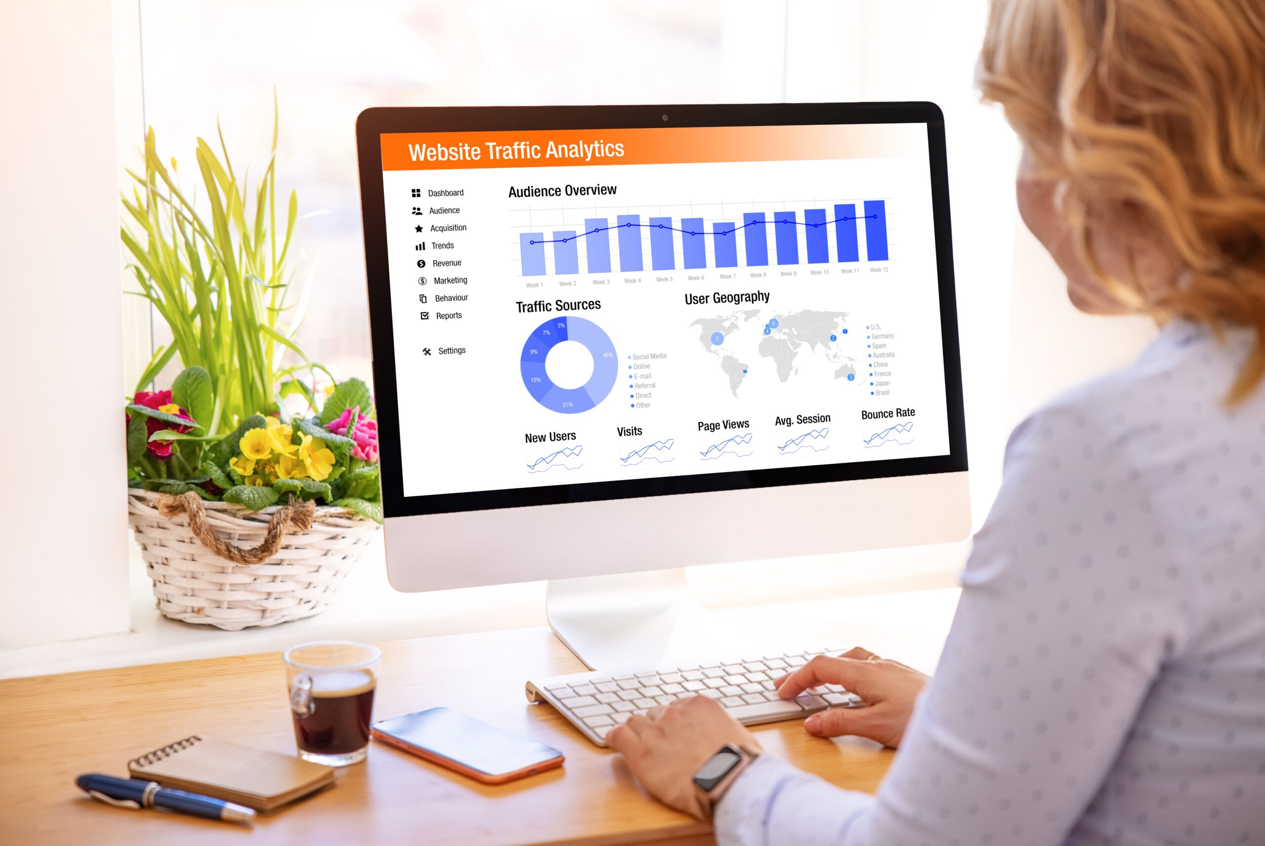 Understanding Website Ranking and Traffic