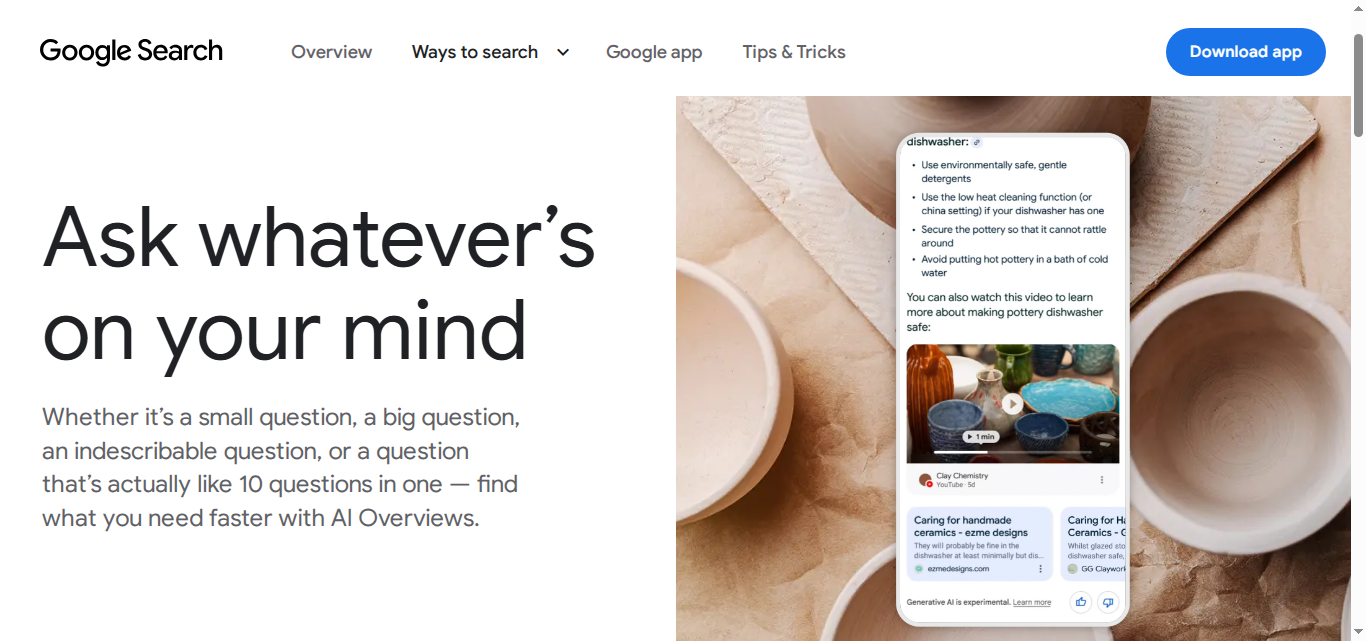 Google AI Overviews
